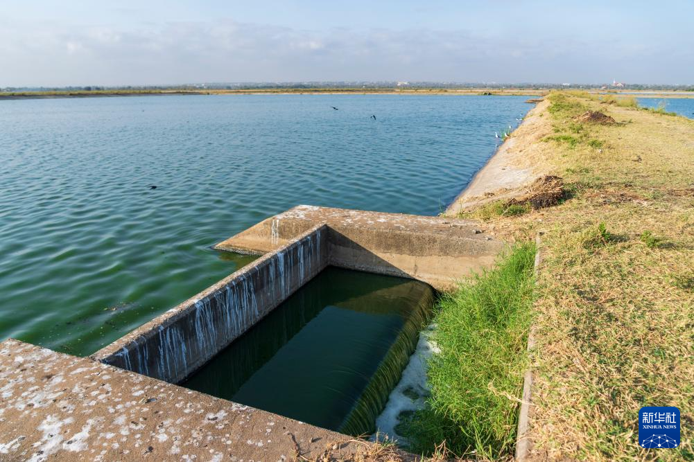 记者手记丨探访内罗毕之“肾”(图8)
